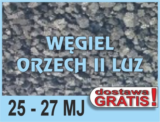 Zdjęcie oferty: Węgiel Ekochamp Orzech II luzem Oferta Śląsk