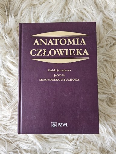 Zdjęcie oferty: Anatomia Człowieka 