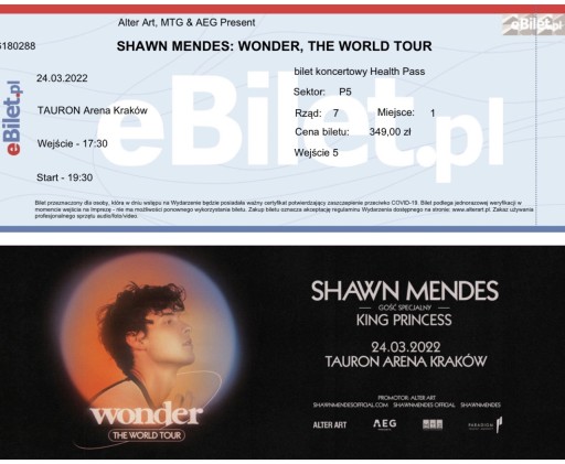 Zdjęcie oferty: Shawn Mendes Bilet 19.06.2023