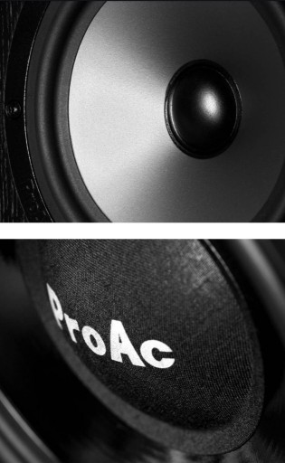 Zdjęcie oferty: ProAc DT8 kolumny od Professional Acoustics nie Focal,Dali,,Pylon,PMC,ATC