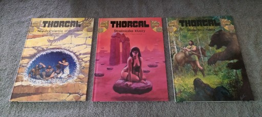 Zdjęcie oferty: Thorgal numery 13,17,18 (twarda oprawa)