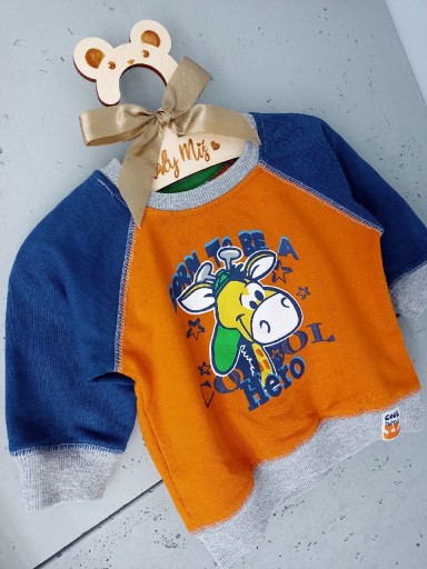 Zdjęcie oferty: Bluza niemowlęca dla chłopca r. 74