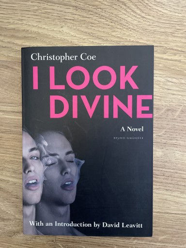 Zdjęcie oferty: Novela I Look Divine w całości po Angielsku