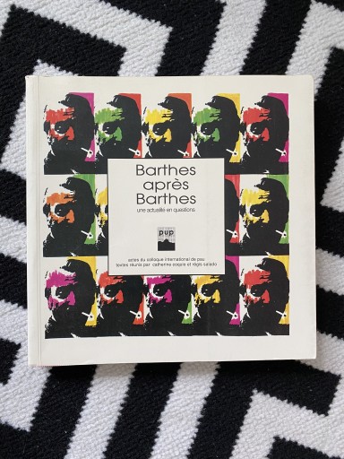 Zdjęcie oferty: Barthes apres Barthes 
