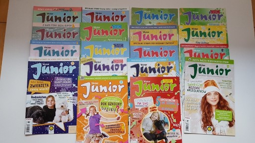 Zdjęcie oferty: Czasopisma Junior - 18 sztuk