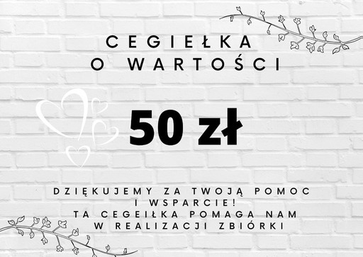 Zdjęcie oferty: Cegiełka na zbiórkę