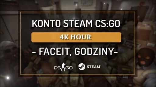 Zdjęcie oferty: KONTO STEAM Z CS:GO |CS2 4k HOUR FACEIT GODZINY