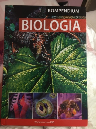 Zdjęcie oferty: Biologia - kompendium 