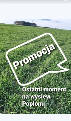 Zdjęcie oferty: Naturalny nawóz poplon żyto ozime 20kg