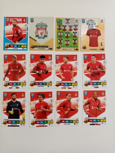 Zdjęcie oferty: Fifa 365 karty Liverpool 2023 TEAM MATE LINE-UP  