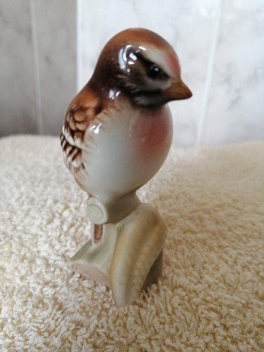 Zdjęcie oferty: Cudowny, piękny ptak von Goebel,