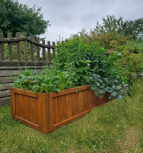Zdjęcie oferty: Warzywnik drewniany, skrzynia ogrodowa, zielnik