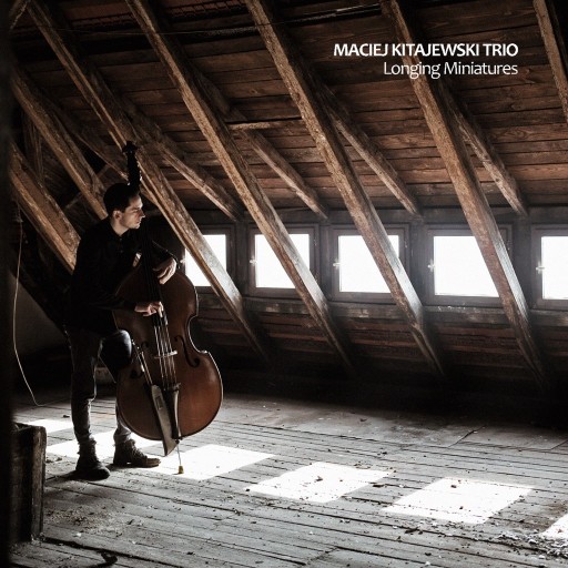 Zdjęcie oferty: Longing Miniatures - Maciej Kitajewski Trio 