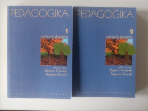 Zdjęcie oferty: Pedagogika podręcznik akademicki - Kwieciński