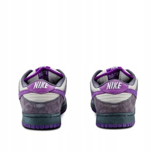 Zdjęcie oferty: Nike buty męskie sportowe Dunk Low Pro SB rozm. 40