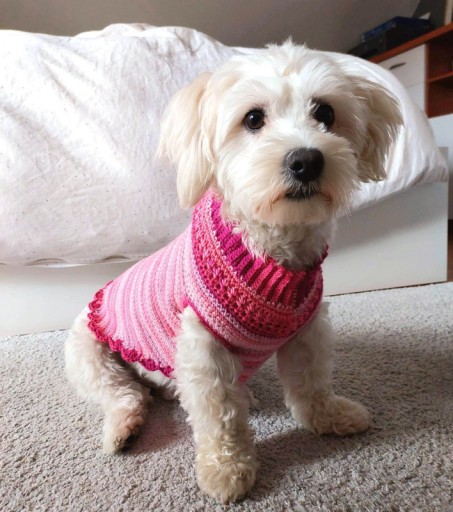 Zdjęcie oferty: Sweterek dla psa, suczki. Handmade