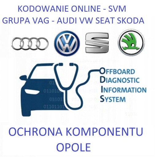 Zdjęcie oferty: Ochrona Komponentu CP OFF Kodowanie Skoda VW Opole