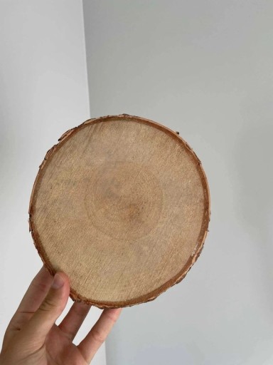 Zdjęcie oferty: Plastry drewna brzozowego:30szt/20,5cm śr/2,5cm gr