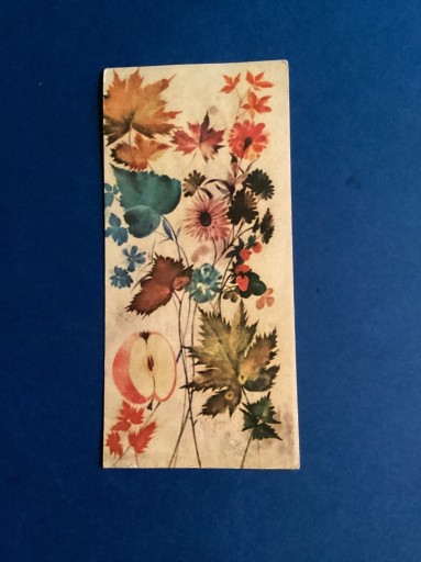 Zdjęcie oferty: D4743.  B.TRUCHANOWSKA-MAJCHRZAK - POCZTÓWKA - „OZNAKI JESIENI”
