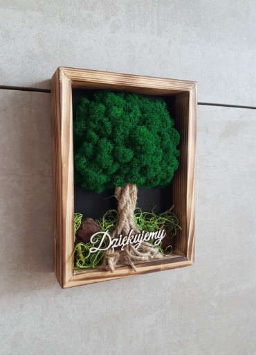 Zdjęcie oferty: Mini drzewo z mchu chrobotka 20x15 cm prezent 