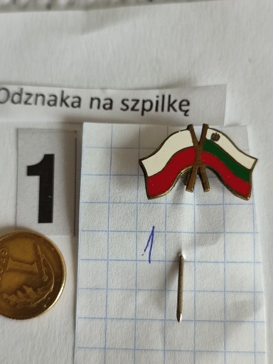 Zdjęcie oferty: Odznaki Flagi  ( zestaw nr 25 ) 