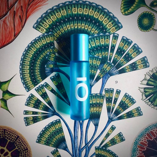 Zdjęcie oferty: PERFUMY BOTANICZNE dla czakry gardła: wetiweria / mirra / limba / pieprz