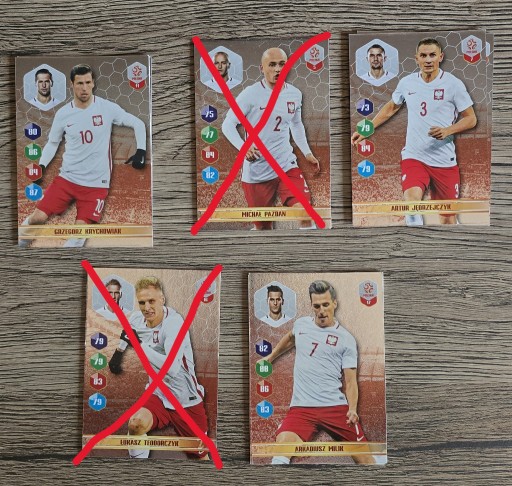 Zdjęcie oferty: Dumni z naszych Karty panini wydanie biedronka