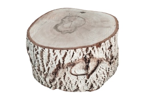 Zdjęcie oferty: Plaster drewna Podstawa do stolika Pniak Orzech