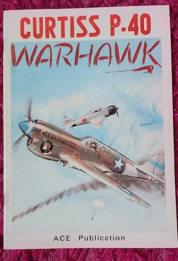 Zdjęcie oferty: P40 warhawk ACE Publication