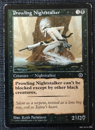 Zdjęcie oferty: Prowling Nightstalker-Portal II