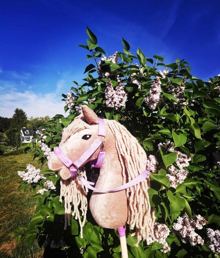 Zdjęcie oferty: Konik koń Hobby Horse na kiju + zest - Merylandia 