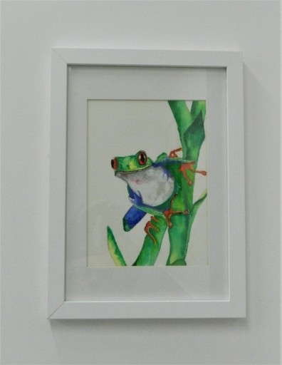 Zdjęcie oferty: kevin maynard watercolour painting tree frog 