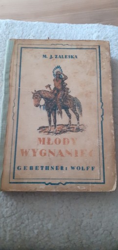 Zdjęcie oferty: Młody wygnaniec; M. J. Zaleska