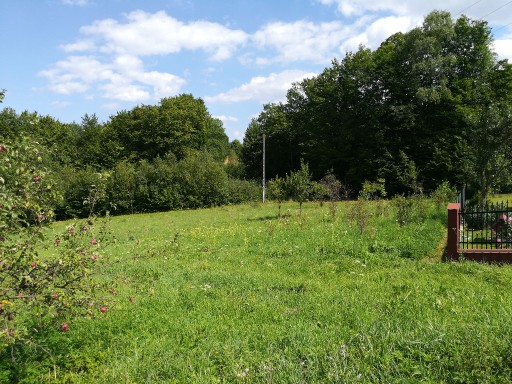 Zdjęcie oferty: DZIAŁKA NA SPRZEDAŻ SKAWINKI 