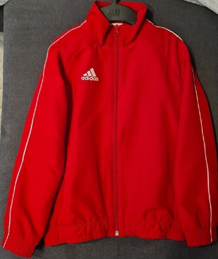 Zdjęcie oferty: Bluza Adidas Core 18 Jr