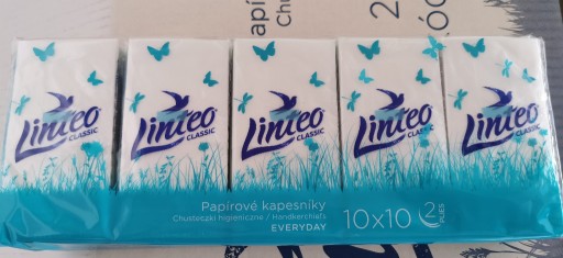 Zdjęcie oferty: Chusteczki higieniczne LINTEO Classic 10x10 sztuk