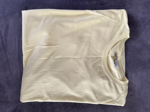 Zdjęcie oferty: Koszulka T-shirt męski Zara żółty rozm XL