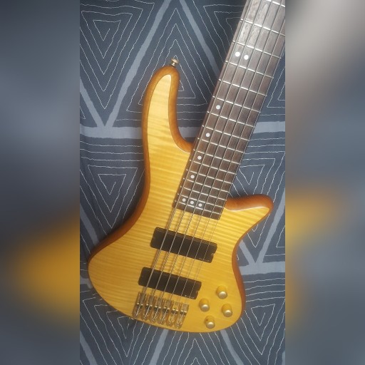Zdjęcie oferty: Gitara basowa bas Schecter Stiletto Custom 6 