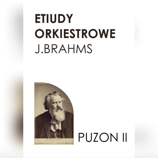 Zdjęcie oferty: Etiudy orkiestrowe J.Brahms puzon 2 (tenor)