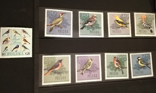 Zdjęcie oferty: 1966r. Ptaki leśne, seria 9 znaczków 