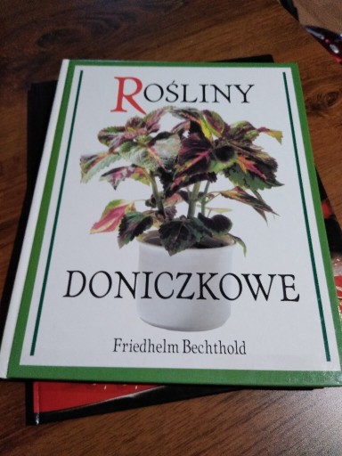 Zdjęcie oferty: Rośliny doniczkowe Bechthold bdb