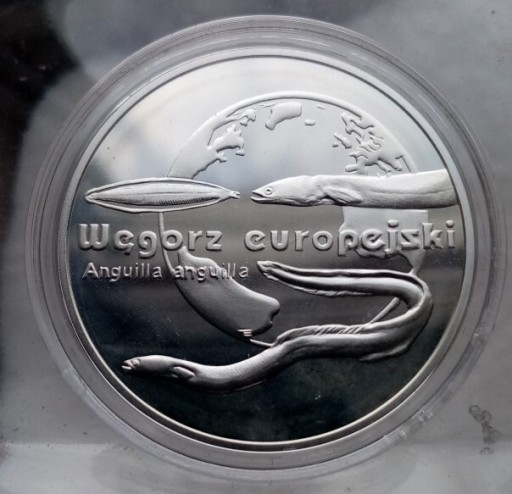 Zdjęcie oferty: 20zł Węgorz Europejski z 2003r.