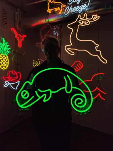 Zdjęcie oferty: Kameleon.Napisy Świetlne.Dekoracje Neon LED