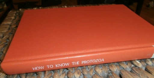 Zdjęcie oferty: How to know the Protozoa PIERWOTNIAKI Przewodnik