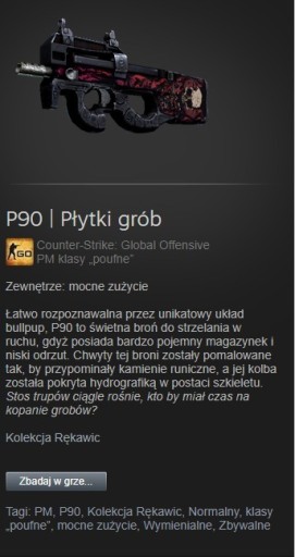 Zdjęcie oferty: sprzedam glocka i p90