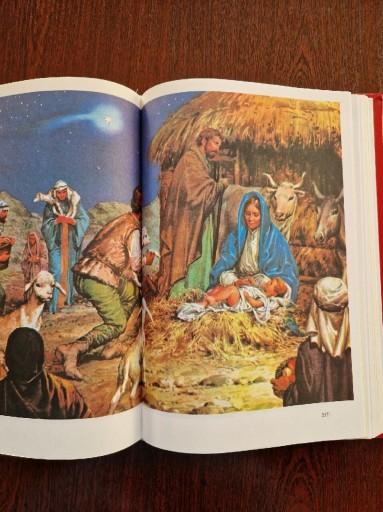 Zdjęcie oferty: Książka Biblia ilustrowana młodych duża