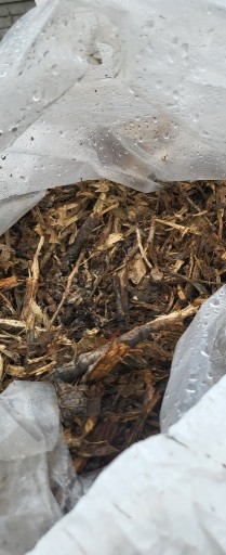 Zdjęcie oferty: Zrąb,kompost,odpad z niszczarki,buk,brzoza,wierzba