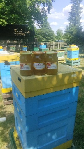 Zdjęcie oferty: MIÓD naturalny z Warmii/ Natural HONEY/ HONIG