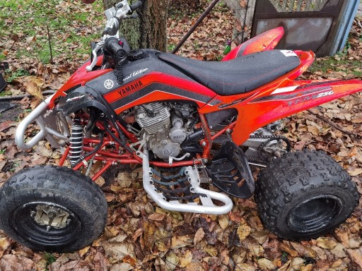 Zdjęcie oferty: części yamaha raptor 250 silnik, os, wahacz, felgi