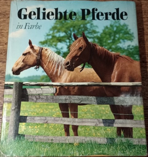 Zdjęcie oferty: Geliebte Pferde in Farbe.